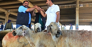 2020 Yılı Kurban Hizmetlerinin Uygulanmasına Dair Tebliğ Resmi Gazete'de yayımlandı