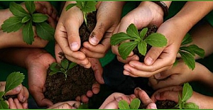 Çevre Haftası’nda fidan bağışı kampanyası