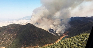 Bakan Pakdemirli: 12 ilde meydana gelen 19 orman yangınından 15’i kontrol altında, 3’ü söndürüldü