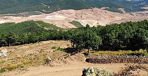 Kaz Dağları'ndan geriye ne kaldı?