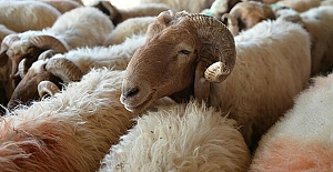 Kurban kesmek yerine sadaka vermekle bu ibadet yerine getirilmiş olur mu?