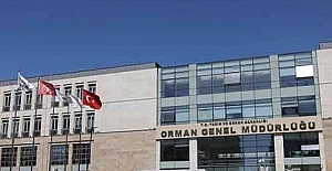 Orman Genel Müdürlüğü 700 İşçi Personel Alacak