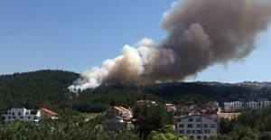 Bursa Demirci Mahallesi çamlık bölgesinde korkutan yangın…