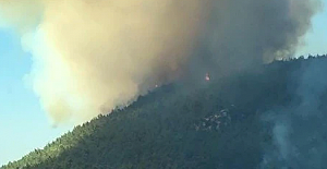 İzmir Menderes ilçesinde orman yangını!