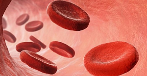 Kan incelticiler Covid-19’u atlatma şansını artıyor