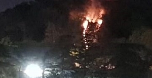 Şimdi de İstanbul Emirgan korusunda yangın!