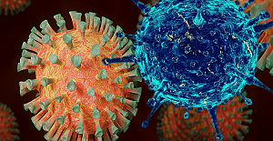 Koronavirüs salgınında ölenlerin sayısı 6 bin 895'e ulaştı