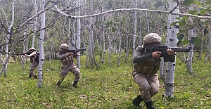 Terör operasyonlarında 15 terörist etkisiz hale getirildi