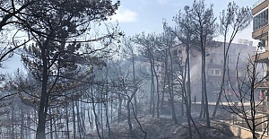 Hatay Yangınlarında 4 Şüpheli gözaltına alındı