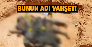 Libya'da 5 toplu mezar daha bulundu!