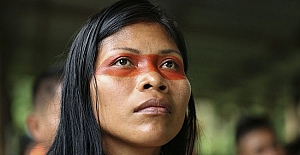 Amazon Ormanlarında Bir Çevre Kahramanı