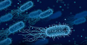 Dünyanın koronadan sonra yeni belası ortaya çıktı: Ölümcül bakteri hızla yayılıyor!
