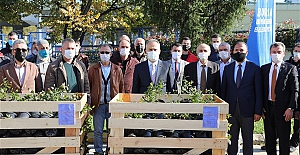 Nitelikli tarımın yeni başkenti, Bursa