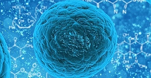 Salgında açıklanan ölüm sayısı 12 bin 219'a ulaştı