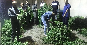 Siyonizm’in (İsrail’in) Uyuşturucu Trafiği ve PKK-PYD'nin Beyaz Zehir Ticareti