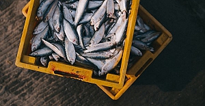Terkos Gölü’nde, yasadışı balıkçılık denetiminde, 2 ton balık yakalandı