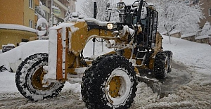 Nilüfer karla mücadeleye hazır