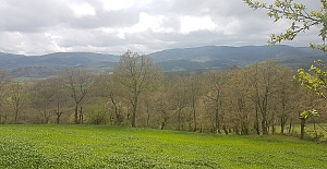 Danıştay onadı:  Çanakkale Çırpılar Köyü’ne kömürlü termik santral kurulamayacak