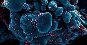 DSÖ'den aşı üreticilerine mutasyon uyarısı