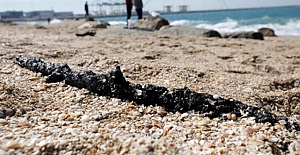 İsrail son 10 yılın en büyük ekolojik faciasını yaşıyor