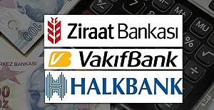 Lirayı savunması beklenen kamu bankalarında ne kadar döviz var?