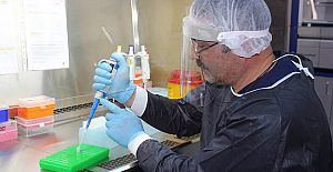 Prof. Çelebi'den yerli koronavirüs aşısı açıklaması: "İnsan üzerinde faz çalışmasına geçilecek"