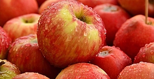 Rusya 63 ton Türk elmasını geri gönderdi