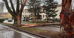 TBMM bahçesine yıldırım düştü