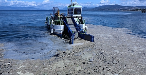 Bursa sahillerinde salya operasyonu