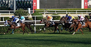 95. Gazi Koşusu’nu jokey Ahmet Çelik ile Burgas kazandı