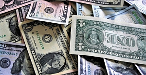 Dolar bir yılda yüzde 30, Euro ise yüzde 40 arttı