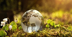 Bugün Dünya Çevre Günü: Bu yılın teması 'Ekosistem Restorasyonu'