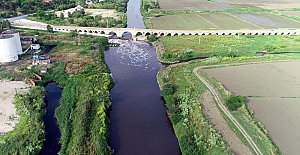 Ergene Nehri, Trakya'da zehir saçıyor