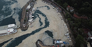 Eskihisar Sahili'ni yeniden müsilaj kapladı