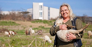 Kurda kuşa aş diye başladı, ata tohumlarının bankasını kurdu