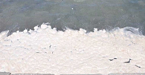 Ege sahilinde endişelendiren görüntü