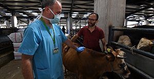 Ekipler Sağlıklı Kurbanlık İçin Sahada