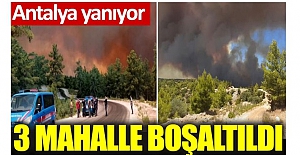 Manavgat'ta orman yangını. 3 mahalle boşaltıldı
