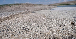 Konya’nın Akören ilçesindeki May Barajı’nda sular çekildi