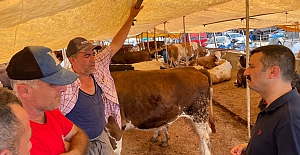 Türkoğlu Kurban Pazarından seslendi: "Elde kalan kurbanlıkları alıp vatandaşa dağıtın!.."
