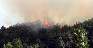 Ateş belası ikinci defa Karabük'te; Ormanlık alanda çıkan yangına müdahale ediliyor