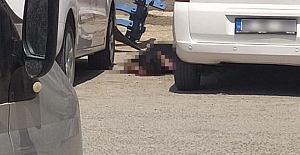 Canlı bomba etkisiz hale getirildi!