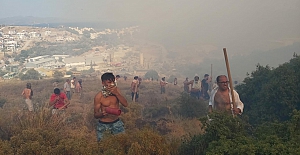 Datça'da makilik ve zeytinlik alanda yangın