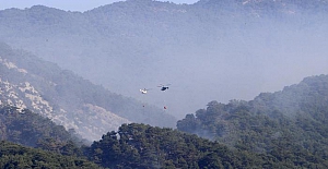 Kazdağları'nda yangın: Soğutma çalışmaları sürüyor