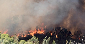 Manavgat Ormanlık Alanında bir yangın daha