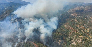 Muğla Köyceğiz’de yine orman yangını başladı