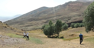 Nuh’un Gemisi’nin indiği yerde 7 bin yıllık yaşam izleri ortaya çıktı
