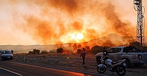 Yangınlara Ankara'da Nallıhan Kuş Cenneti de eklendi:  Hızla yayılan yangın kontrol altına alındı