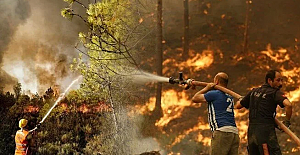 Yangınların 7. gününde 5 ilde 14 noktada söndürme çalışmaları devam ediyor.
