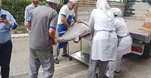 Balık sezonu sıkı denetimle başladı